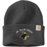 Delaware Jr. Blue Hens Carhartt Watch Cap 2.0