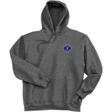 Carolina Thunder Ultimate Cotton - Pullover Hooded Sweatshirt